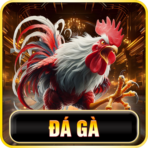 j88-da-ga